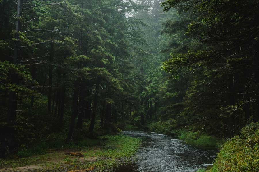 Western Forest Products Sustainability river