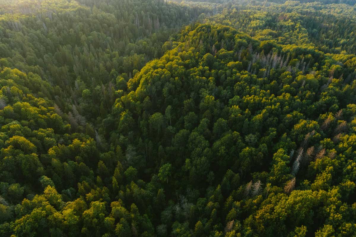 Western Forest Products Sustainability british columbia