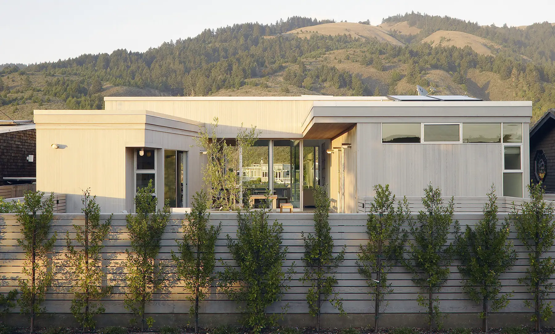 cedar fencing