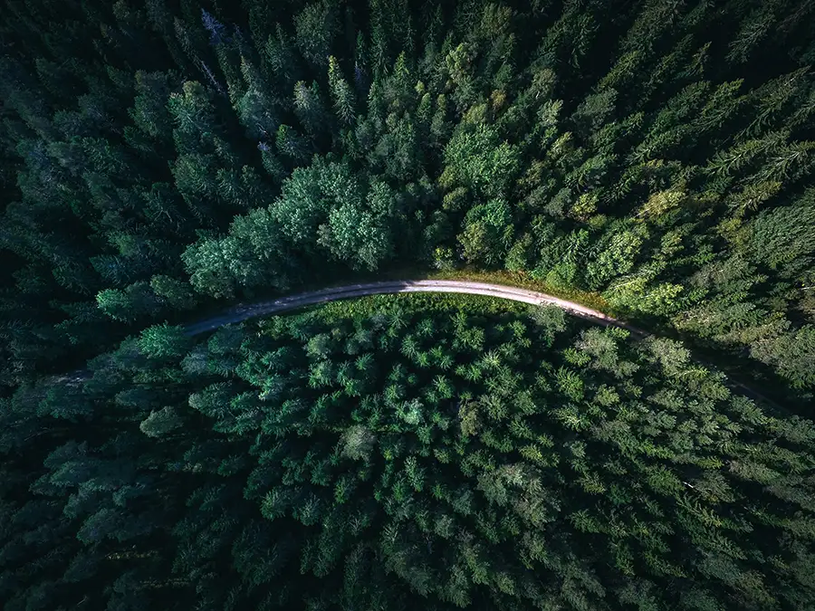 Western forest products