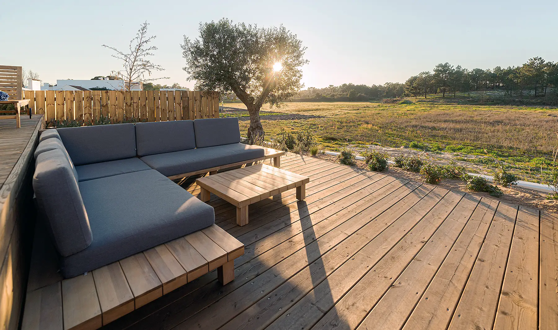 Treated wood deck